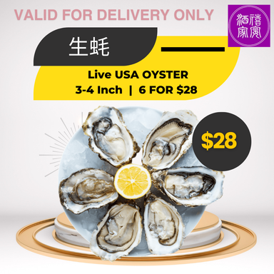 Live Usa Oyster(美国生蚝)