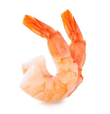 Shrimp