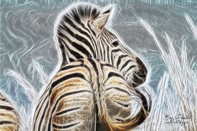 Zebra (Limited Edition) Only one item