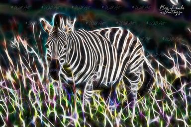 Zebra Alert