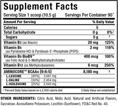 ALLMAX AMINOCORE 90 SERV FRUIT PUNCH