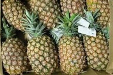 Good ripe.Pineapples