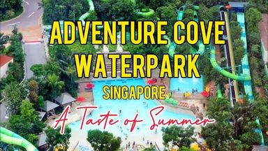 Adventure Cove Water Park