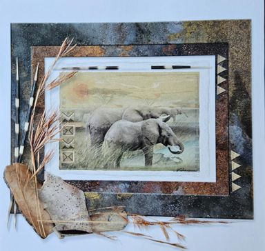 Birthday Cards - Embossed Wildlife