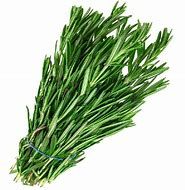 Rosemary