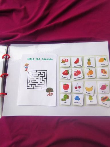 'I Know My Fruits' Busy Book