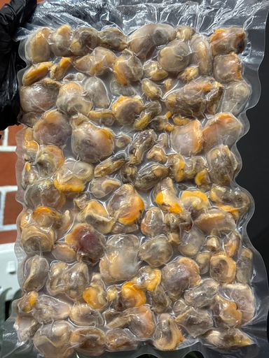 ISI KERANG (1KG)