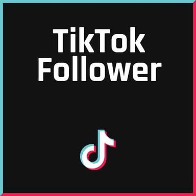 TIKTOK FOLLOWERS 