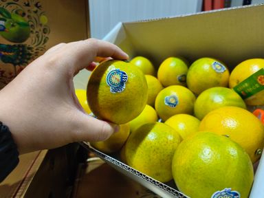 Rock Sugar Orange 云南冰糖橙