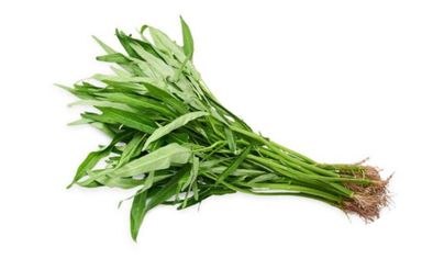 Kangkong 蕹菜