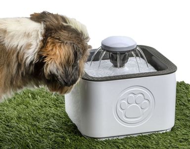 Pet Water Drinking Fountain