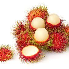 Rambutan