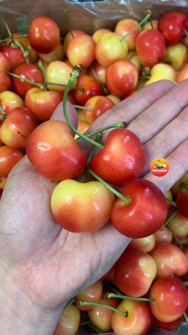 CHILE RAINIER CHERRIES