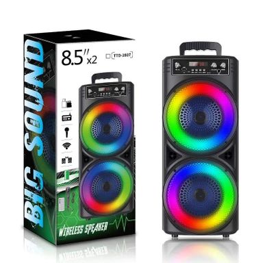 Portable Wireless Party Speakers Dual 8.5  Inch Karaoke Subwoofer Bluetooth Loudspeaker Outdoor Performance RGB Lights FM Radio TTD2807