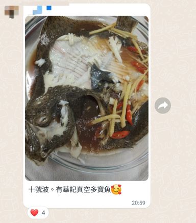 游水多寶魚🐟(約14兩)