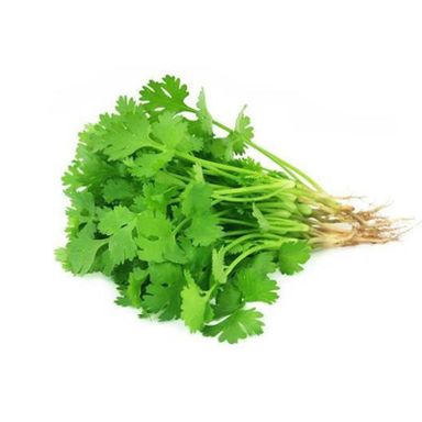 Fresh Coriander 20g