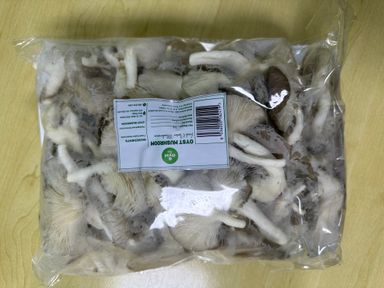 Fresh Oyster Mushroom - 1kg