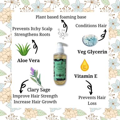 🍃 Aloe Clary Sage Shampoo (210g) 🍃