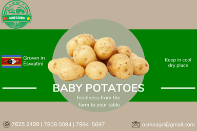 Baby Potatoes - Loose