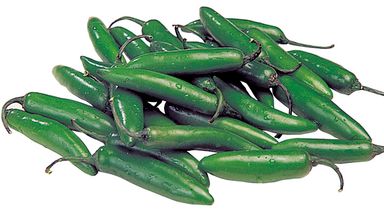 Chile Serrano