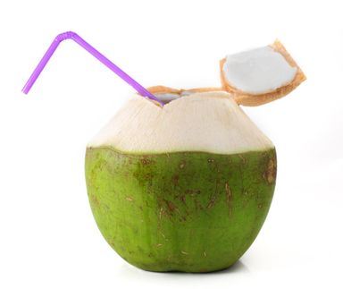 KELAPA MUDA
