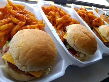 Burger and fried chips 