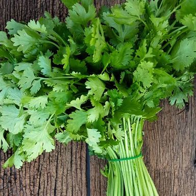 Coriander (Giligililani)