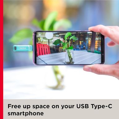 SanDisk Ultra Dual Drive Go (SDDDC3-256G-I46GPD) 256GB USB 3.0 Type C PenDrive for Mobile (Mint Green)