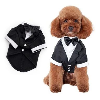 Dog Tuxedo Costume