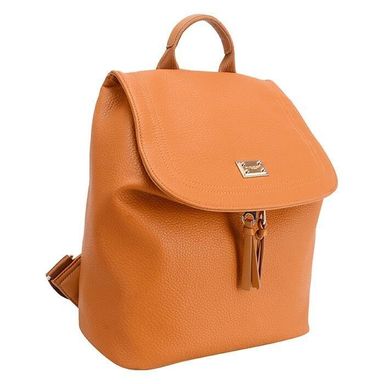 David Jones Backpack DJ515D