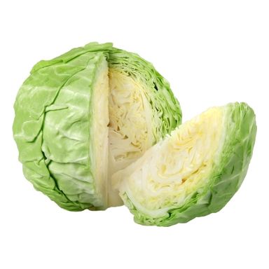 Cabbage