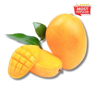 Fresh Mango - Alphonsa