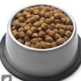 dog food