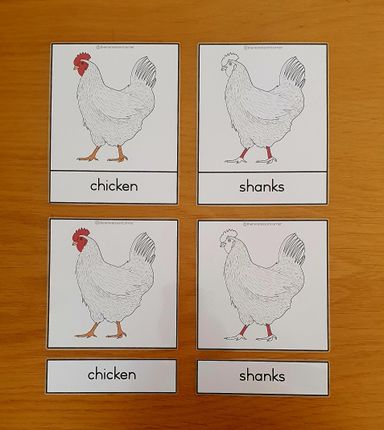 Nomenclature - chicken