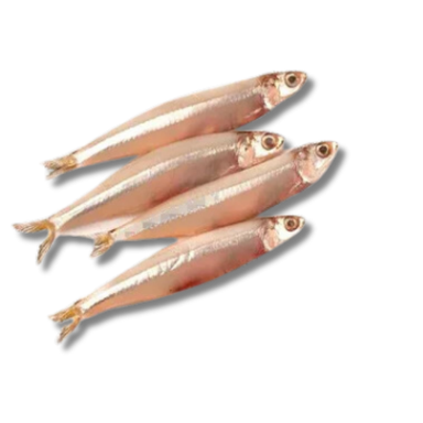 Handella Fish