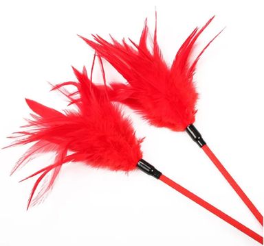 Feather Bar Fairy Spanking Paddle Spanker Flogger Whip