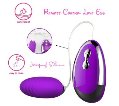 Remote Control Vibrating Love Egg