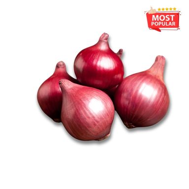 Big Onion Bulk