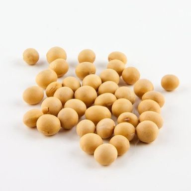 Soya Bean