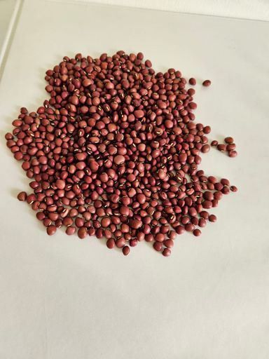  RED RIPPER PEAS (KUNDE)