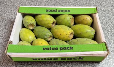 Prickly Pears