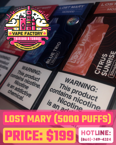 LOST MARY (5000puffs)  