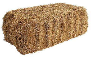 Straw Pakistan 350 kg قش قمعح الباکستان