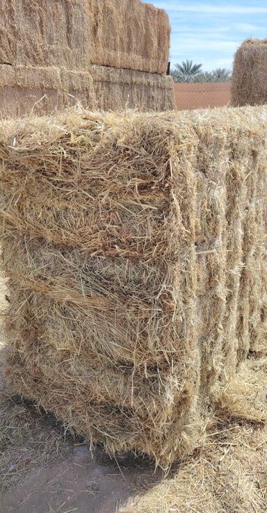 Ryegrass mix grass 750 kg الرای  جراس۔