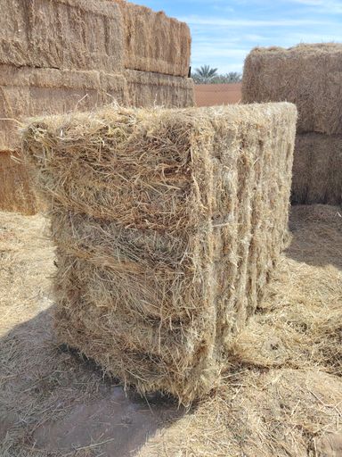 Ryegrass mix grass 750 kg الرای  جراس۔