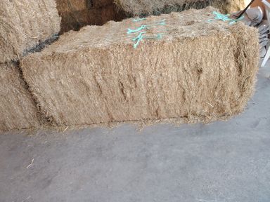 Ryegrass mix grass 750 kg الرای  جراس۔