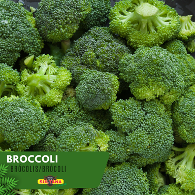 Broccoli