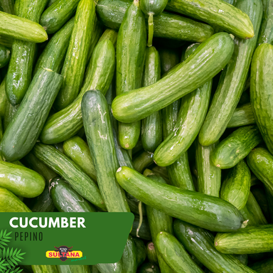 Cucumber 