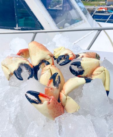 Mixed Stone Crab Claws (5 lbs)