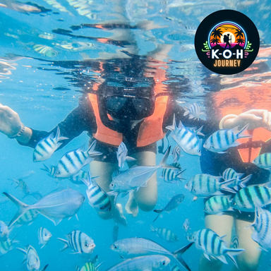 4 Island Snorkeling Tour 